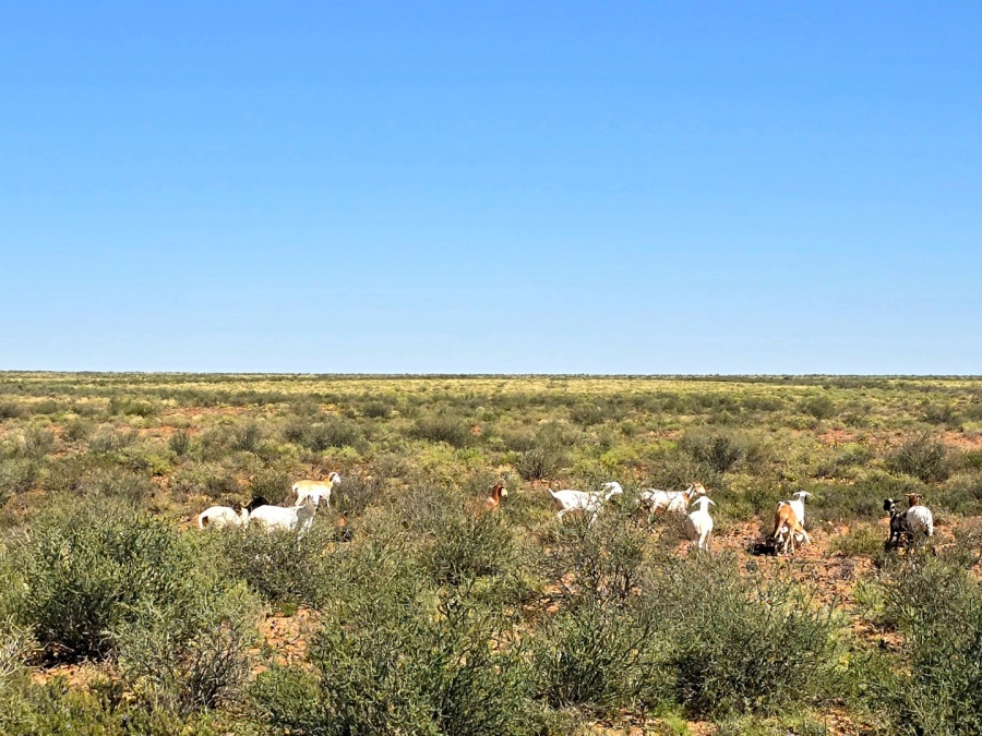 Commercial Property for Sale in Upington Rural Northern Cape